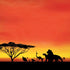 Disney The Lion King Pride Rock Crew iPhone XS Pro Case