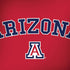 University of Arizona Primary Logo Red Dell Alienware Skin