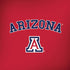 University of Arizona Primary Logo Red Amazon Echo Skin