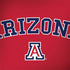 University of Arizona Primary Logo Red Dell Inspiron Skin