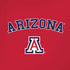University of Arizona Primary Logo Red iPhone XR Skin