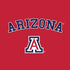 University of Arizona Primary Logo Red Moto E5 Play Skin