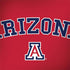 University of Arizona Primary Logo Red HP Spectre Skin