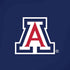 University of Arizona Primary Mark iPhone XR Pro Case