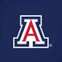 University of Arizona Primary Mark iPhone XR Skin