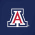 University of Arizona Primary Mark iPhone XS Skin