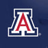University of Arizona Primary Mark PS4 Pro Console Skin