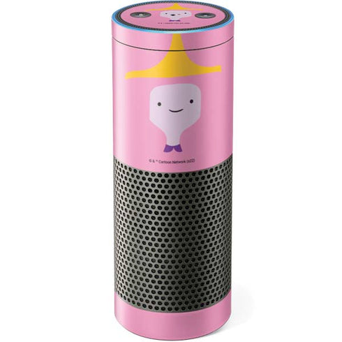Adult Swim Adventure Time Princess Bubblegum Amazon Echo Skin