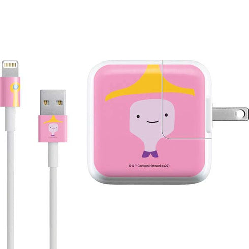 Adult Swim Adventure Time Princess Bubblegum iPad Charger (10W USB) Skin