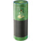 Disney Princess Tiana Floral Amazon Echo Skin