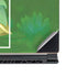 Disney Princess Tiana Floral MSI GS65 Stealth Laptop Skin