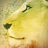 Profile of the Lion of Judah Galaxy Note 8 Skin