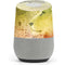 Profile of the Lion of Judah Google Home Skin