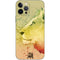 Profile of the Lion of Judah iPhone 12 Pro Skin