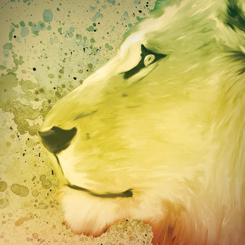 Profile of the Lion of Judah iPhone X Pro Case