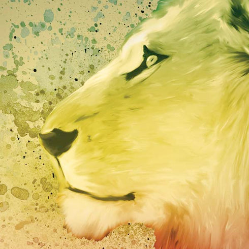 Profile of the Lion of Judah iPhone XR Pro Case
