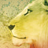 Profile of the Lion of Judah iPhone XR Skin
