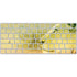 Profile of the Lion of Judah Magic Keyboard Skin