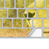 Profile of the Lion of Judah Magic Keyboard Skin
