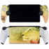 Profile of the Lion of Judah PlayStation Portal Remote Player Skin