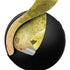 Profile of the Lion of Judah PULSE 3D Wireless Headset for PS5 Skin