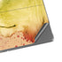 Profile of the Lion of Judah Surface Pro 8 Skin