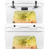 Profile of the Lion of Judah YETI Tundra 45 Hard Cooler Skin