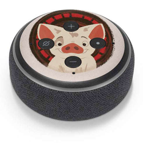 Disney Moana Pua Close Up Amazon Echo Dot Skin
