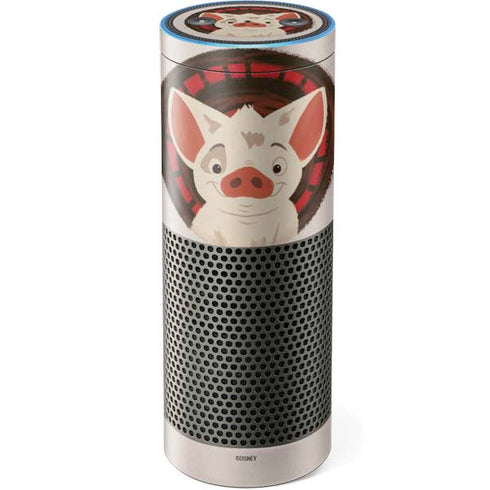 Disney Moana Pua Close Up Amazon Echo Skin