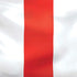 Puerto Rico Flag Nintendo 2DS XL (2017) Skin