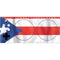 Puerto Rico Flag Xbox Adaptive Controller Skin