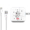 Disney 101 Dalmatians Puppy pile iPad Charger (10W USB) Skin