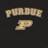 Purdue University Purdue Boilers PS4 Console and Controller Bundle Skin