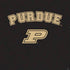 Purdue University Purdue Boilers PS4 Slim Bundle Skin