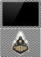 Purdue University Purdue Chevron Surface Pro (2017) Skin