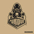 Purdue University Purdue Gold Signature Logo PS4 Controller Skin
