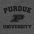 Purdue University Purdue Grey Logo Nintendo 2DS XL (2017) Skin