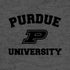 Purdue University Purdue Grey Logo Moto E5 Play Skin