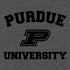 Purdue University Purdue Grey Logo PS4 Console and Controller Bundle Skin