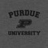 Purdue University Purdue Grey Logo PS4 Controller Skin