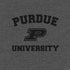 Purdue University Purdue Grey Logo PS4 Pro/Slim Controller Skin