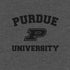 Purdue University Purdue Grey Logo PS4 Slim Bundle Skin