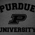 Purdue University Purdue Grey Logo HP Spectre Skin