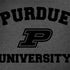 Purdue University Purdue Grey Logo Surface Book 2 13.5in Skin