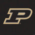 Purdue University Purdue Logo PS4 Pro Bundle Skin