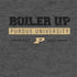 Purdue University Purdue University Boiler Up Nintendo 2DS XL (2017) Skin
