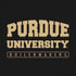 Purdue University Purdue University Boilermakers Bold iPhone XR Skin