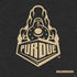 Purdue University Purdue University Signature Logo PS4 Console and Controller Bundle Skin