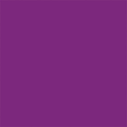 Purple Solid Nintendo 2DS XL (2017) Skin