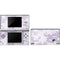 Purple and White Tie Dye DS Lite Skin